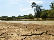 DÉRÈGLEMENT CLIMATIQUE : Paul Biya sort du bois à l’Ouest.