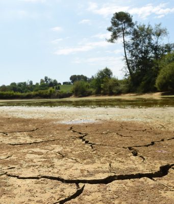 DÉRÈGLEMENT CLIMATIQUE : Paul Biya sort du bois à l’Ouest.