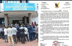 INSCRIPTION DES CAMEROUNAIS DE LA DIASPORA : Elecam revoit sa copie