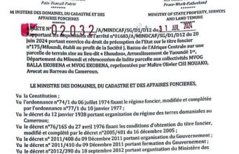 MAFFIA FONCIÈRE AU CAMEROUN