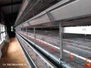 ÉCONOMIE || HAUTS-PLATEAUX