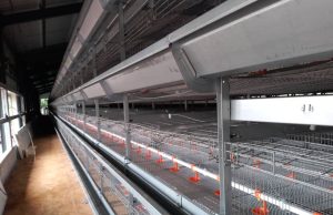 ÉCONOMIE || HAUTS-PLATEAUX