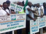 ASSEMBLÉE DES STRUCTURES RÉGIONALES