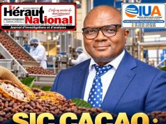 SIC CACAOS : UN NOUVEAU SOUFFLE À LA TÊTE DU TOP MANAGEMENT