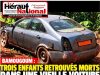 DRAME DANS LA MIFI : LE SILENCE MORTEL D’UNE ÉPAVE AUTOMOBILE